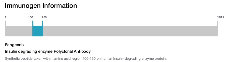 Insulin degrading enzyme Polyclonal Antibody