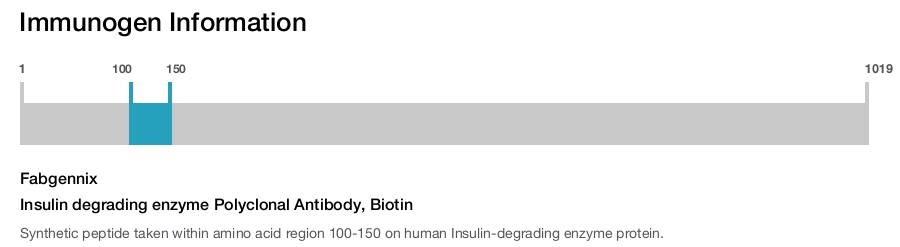 Insulin degrading enzyme Polyclonal Antibody, Biotin