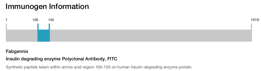 Insulin degrading enzyme Polyclonal Antibody, FITC
