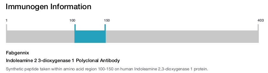 Indoleamine 2 3-dioxygenase 1 Polyclonal Antibody