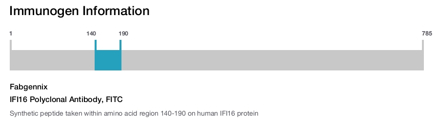IFI16 Polyclonal Antibody, FITC