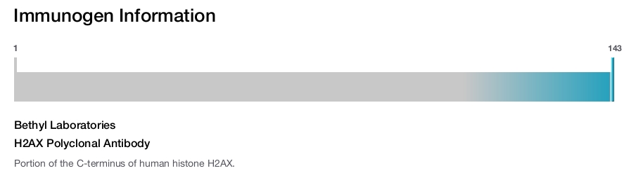 H2AX Polyclonal Antibody