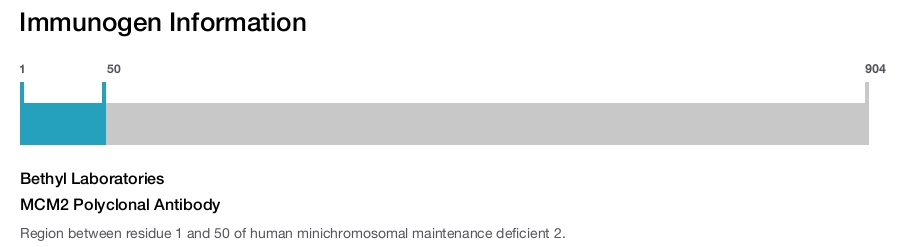 MCM2 Polyclonal Antibody