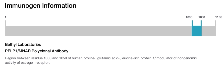 PELP1/MNAR Polyclonal Antibody