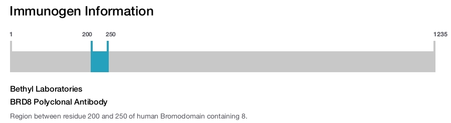 BRD8 Polyclonal Antibody