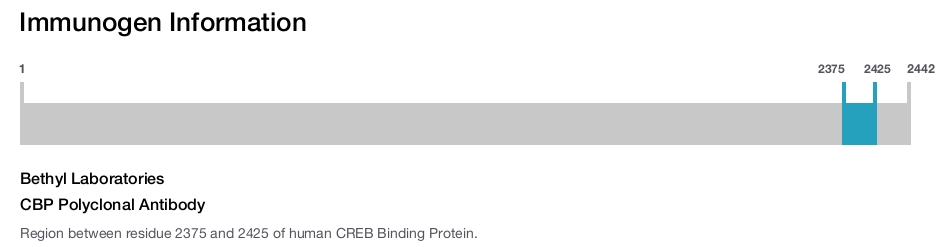 CBP Polyclonal Antibody