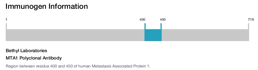 MTA1 Polyclonal Antibody