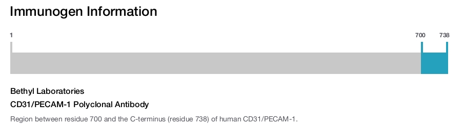 CD31/PECAM-1 Polyclonal Antibody