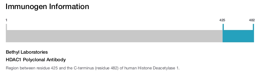 HDAC1 Polyclonal Antibody