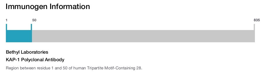 KAP-1 Polyclonal Antibody