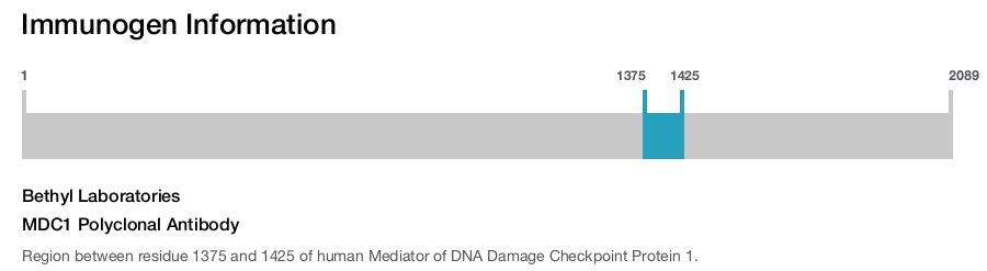 MDC1 Polyclonal Antibody