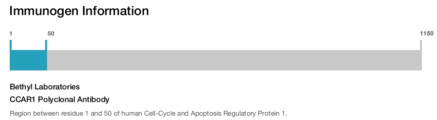 CCAR1 Polyclonal Antibody