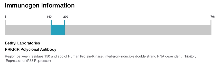 PRKRIR Polyclonal Antibody