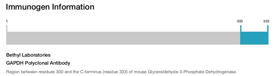 GAPDH Polyclonal Antibody