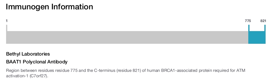 BAAT1 Polyclonal Antibody