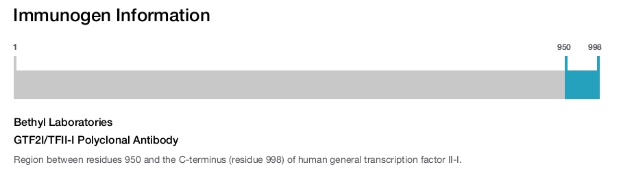 GTF2I/TFII-I Polyclonal Antibody