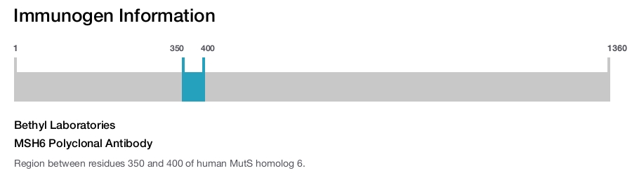 MSH6 Polyclonal Antibody
