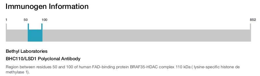 BHC110/LSD1 Polyclonal Antibody