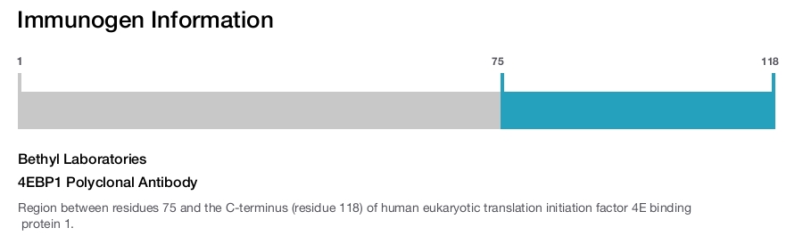 4EBP1 Polyclonal Antibody