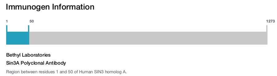 Sin3A Polyclonal Antibody