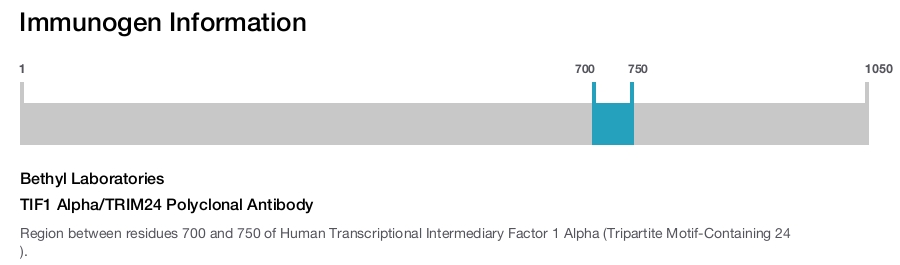 TIF1 Alpha/TRIM24 Polyclonal Antibody