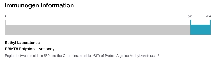 PRMT5 Polyclonal Antibody