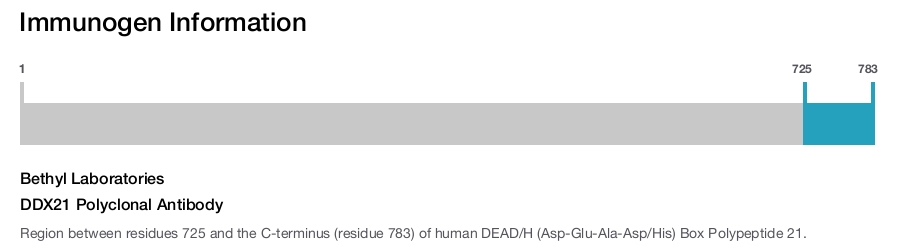DDX21 Polyclonal Antibody