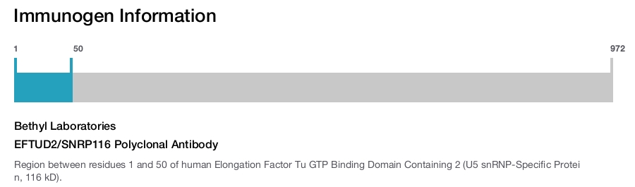 EFTUD2/SNRP116 Polyclonal Antibody