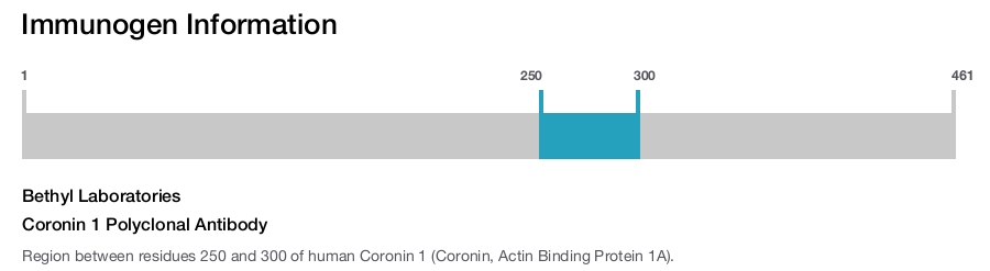 Coronin 1 Polyclonal Antibody