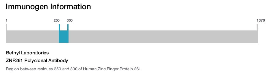 ZNF261 Polyclonal Antibody