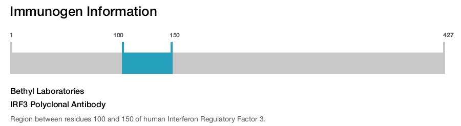 IRF3 Polyclonal Antibody