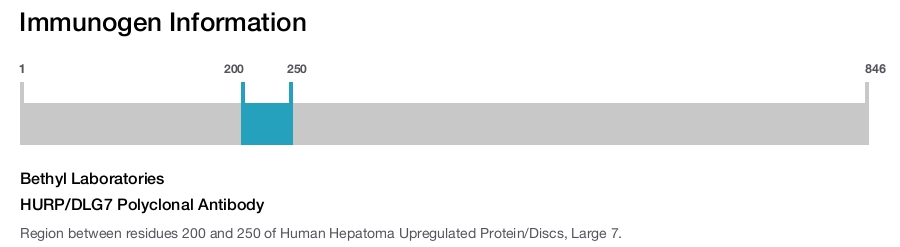 HURP/DLG7 Polyclonal Antibody