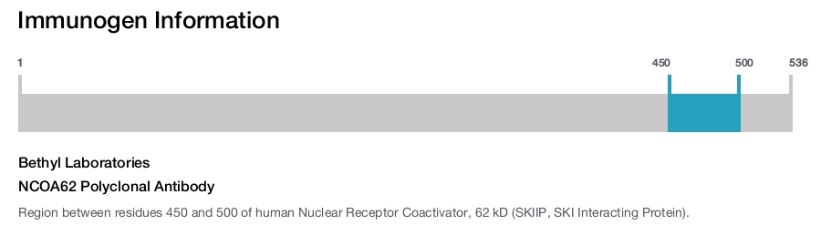 NCOA62 Polyclonal Antibody