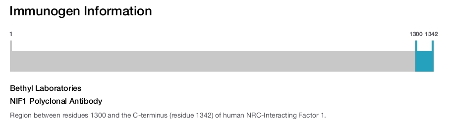 NIF1 Polyclonal Antibody