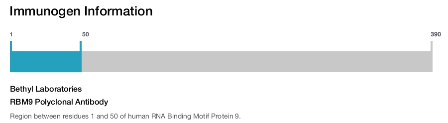 RBM9 Polyclonal Antibody