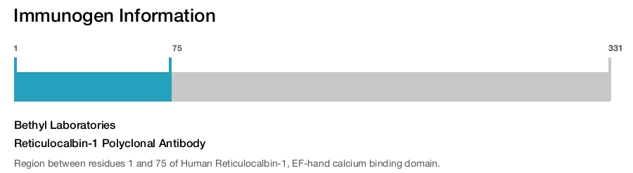 Reticulocalbin-1 Polyclonal Antibody
