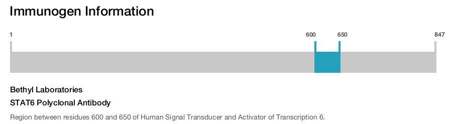STAT6 Polyclonal Antibody