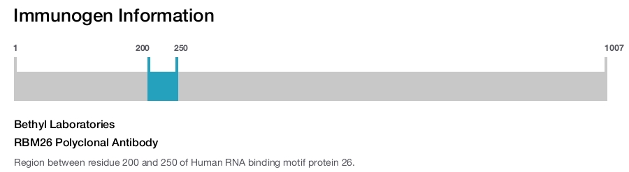 RBM26 Polyclonal Antibody