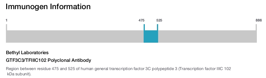 GTF3C3/TFIIIC102 Polyclonal Antibody