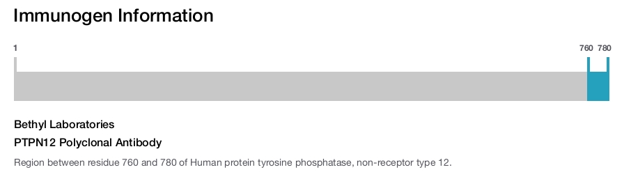 PTPN12 Polyclonal Antibody
