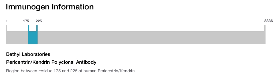 Pericentrin/Kendrin Polyclonal Antibody