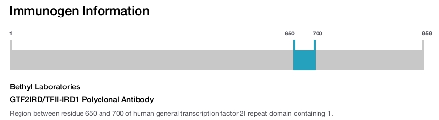 GTF2IRD/TFII-IRD1 Polyclonal Antibody