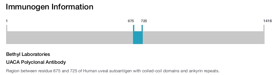 UACA Polyclonal Antibody