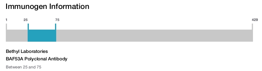 BAF53A Polyclonal Antibody