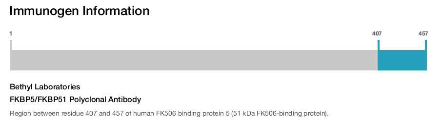 FKBP5/FKBP51 Polyclonal Antibody
