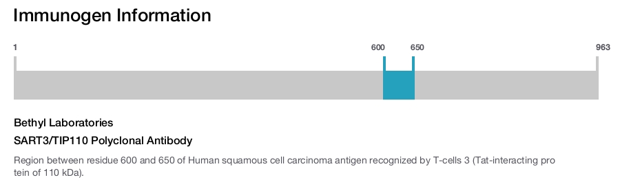 SART3/TIP110 Polyclonal Antibody