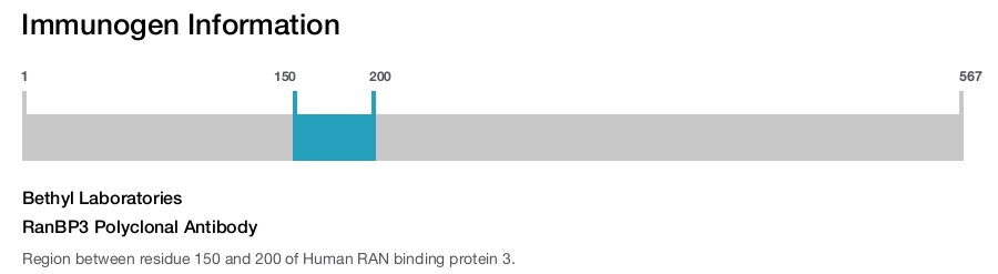 RanBP3 Polyclonal Antibody