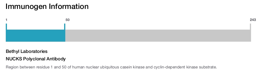 NUCKS Polyclonal Antibody