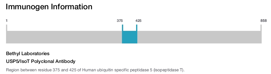 USP5/IsoT Polyclonal Antibody