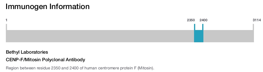 CENP-F/Mitosin Polyclonal Antibody